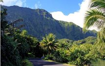 La route de Vaiaau sur la commune de Tumaraa à Raiatea, un somptueux décor pour une bien triste scène