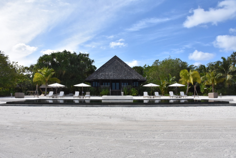 Nukutepipi, l’expérience de Laliberté Nukutepipi, l’expérience de Laliberté