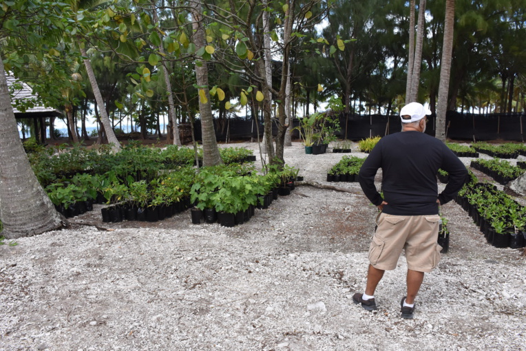 Nukutepipi, atoll inclusive Nukutepipi, atoll inclusive