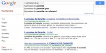 Une entreprise lyonnaise fait condamner Google France pour injures publiques