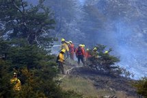 Deuxième incendie au Chili: un mort et 8.000 ha détruits