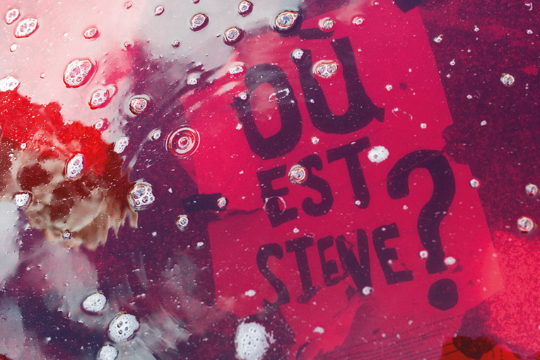 Appels à un rassemblement pour Steve samedi à Nantes