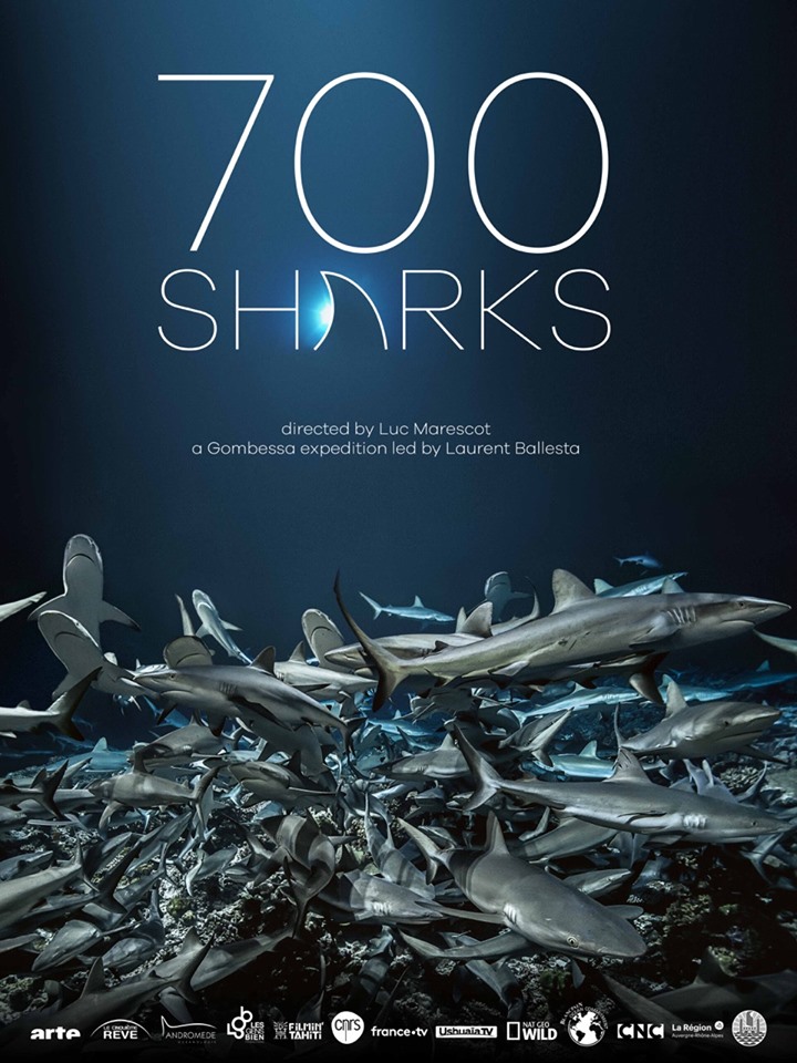 « 700 requins dans la nuit » nominé aux Emmy Awards