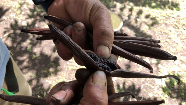 "C'est en effet beaucoup de travail mais j'adore ce que je fais", confie l'agriculteur. "C'est en effet beaucoup de travail mais j'adore ce que je fais", confie l'agriculteur.