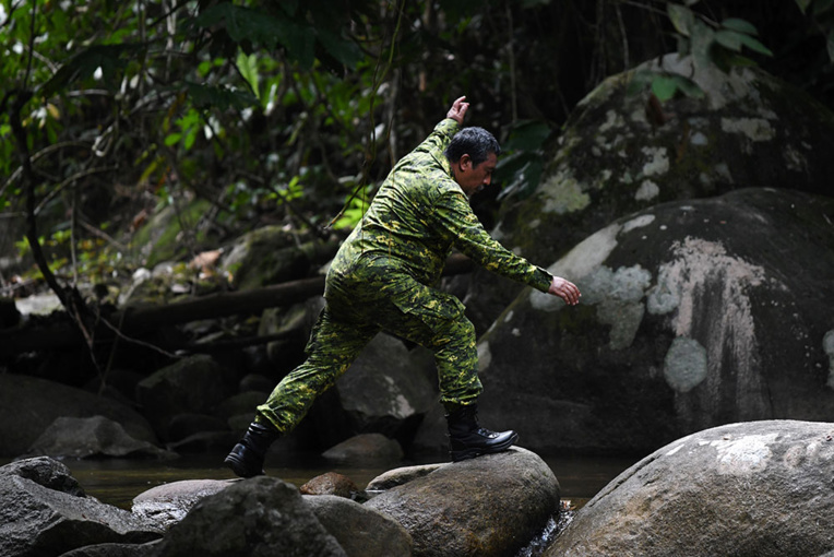 Franco-Irlandaise disparue en Malaisie : la voix de sa mère diffusée dans la jungle Franco-Irlandaise disparue en Malaisie : la voix de sa mère diffusée dans la jungle