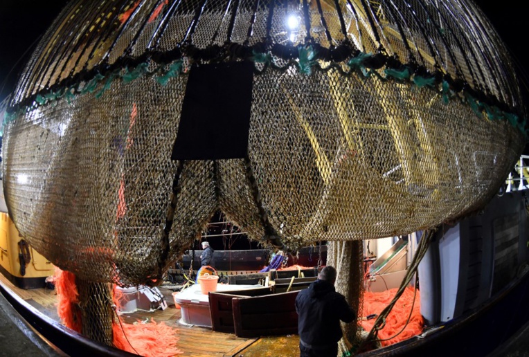 Interdiction de la pêche électrique dans les eaux françaises: un "première étape" pour les pêcheurs