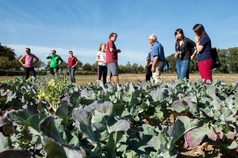 Aux Pays-Bas, des fermes d'un nouveau type face au défi climatique Aux Pays-Bas, des fermes d'un nouveau type face au défi climatique