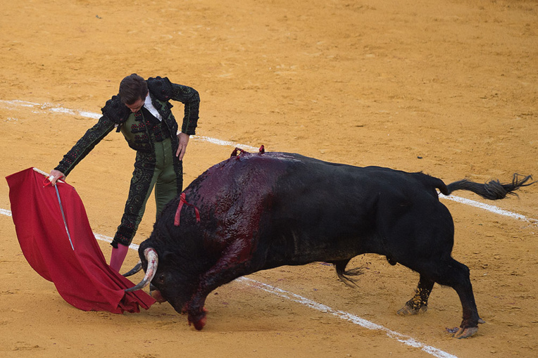 Bergé (LREM) souhaite l'interdiction des corridas aux mineurs Bergé (LREM) souhaite l'interdiction des corridas aux mineurs
