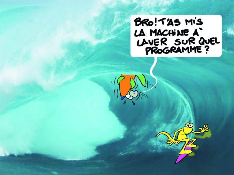 "Programme essorage", par Munoz