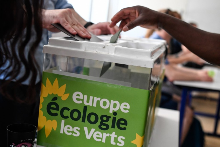 Les écologistes voient la vie en rose à six mois des municipales Les écologistes voient la vie en rose à six mois des municipales