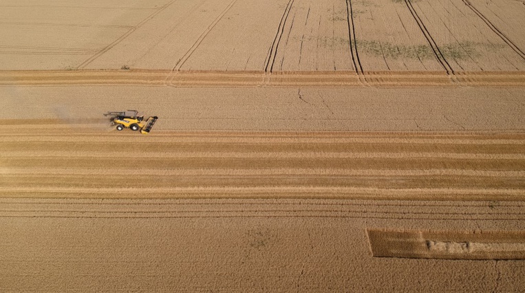 Sécheresse: les céréaliculteurs auvergnats inquiets après une récolte catastrophique Sécheresse: les céréaliculteurs auvergnats inquiets après une récolte catastrophique
