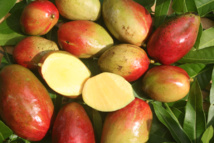 1849 : de Tromelin s’empare d’Honolulu 1849 : de Tromelin s’empare d’Honolulu