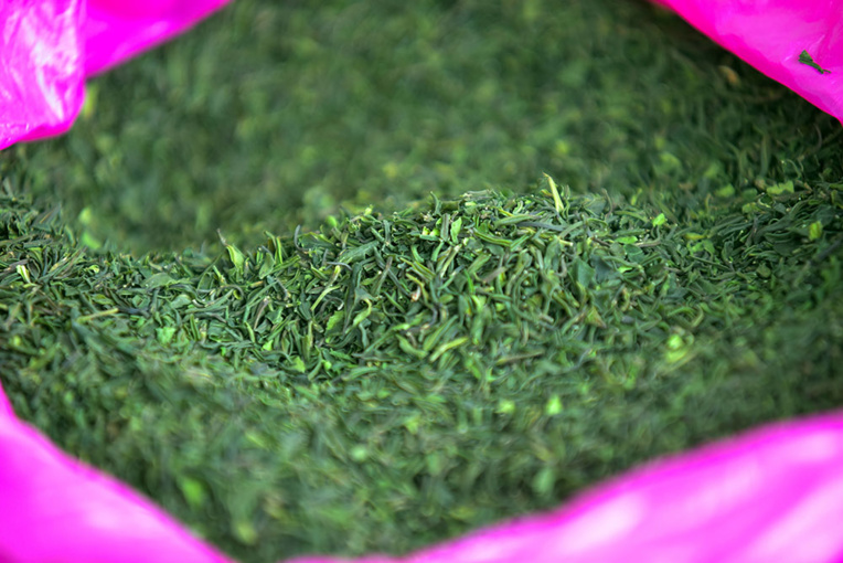 En Ethiopie, des cures de désintox pour les accros du khat