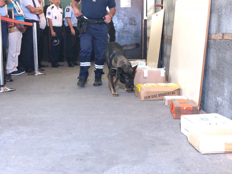 Des chiens formés pour détecter l’ice Des chiens formés pour détecter l’ice