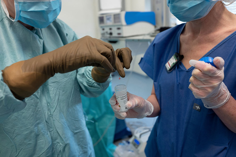 Six polluants présents dans l'organisme de tous les Français