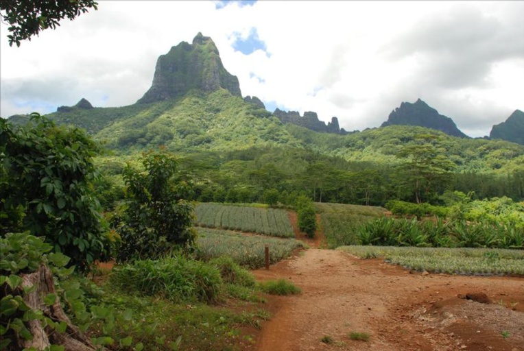 Le projet du lycée de Moorea de nouveau sur les rails Le projet du lycée de Moorea de nouveau sur les rails