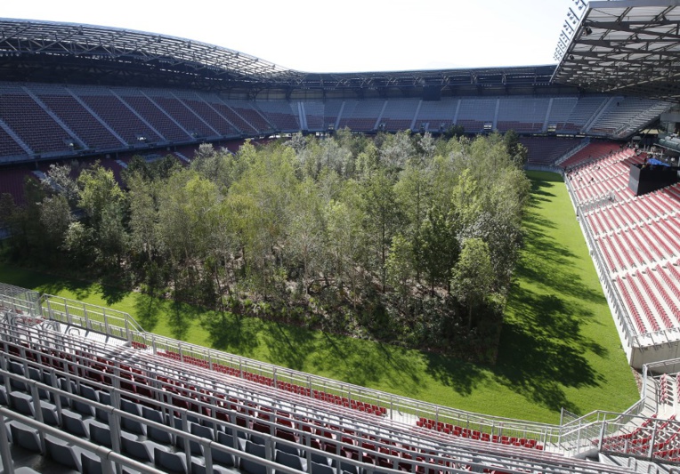 Une forêt plantée sur le terrain d'un stade autrichien