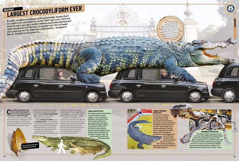 Le Guiness Book 2020 dévoile ses nouveaux records Le Guiness Book 2020 dévoile ses nouveaux records