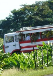 Mahana Pae : Un tour de l'île de Tahiti tout en musique à ne pas manquer vendredi!