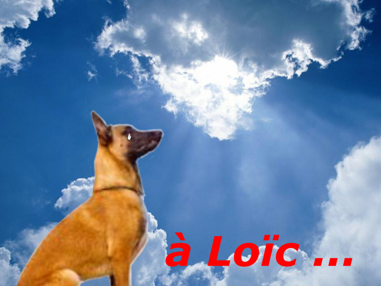 "Hommage au brigadier Loïc Ly Sao", par Munoz "Hommage au brigadier Loïc Ly Sao", par Munoz