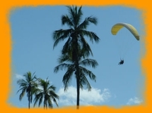 Image d'illustration