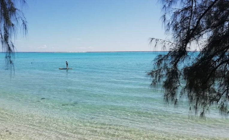Tahiti et ses îles fêtent le tourisme Tahiti et ses îles fêtent le tourisme