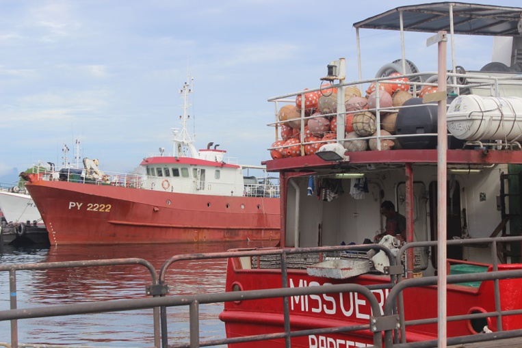 Les thons plongent, les prix grimpent Les thons plongent, les prix grimpent