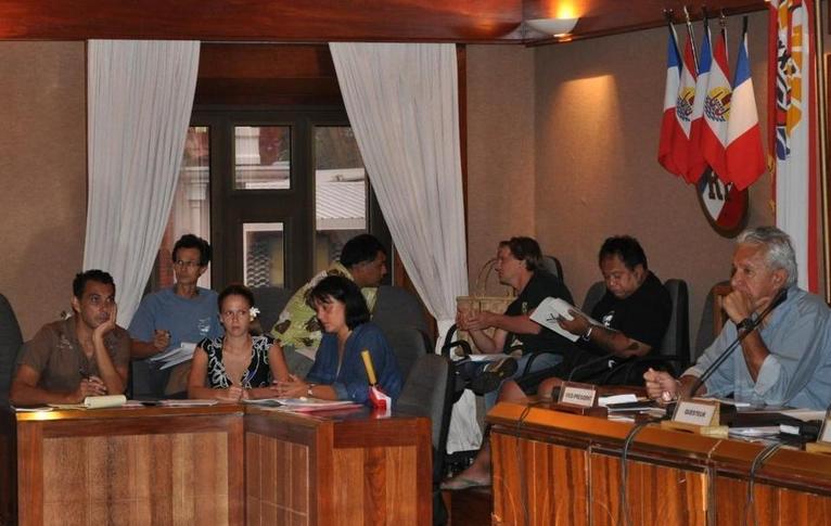 Pas d'unanimité sur ce projet de texte qui a suscité les débats autour des us et coutumes entourant la consommation de viande de tortue de mer