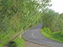 Image d'illustration