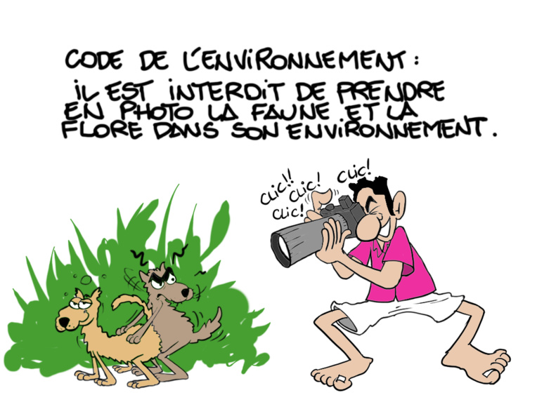 "Paparazzi", par Munoz "Paparazzi", par Munoz