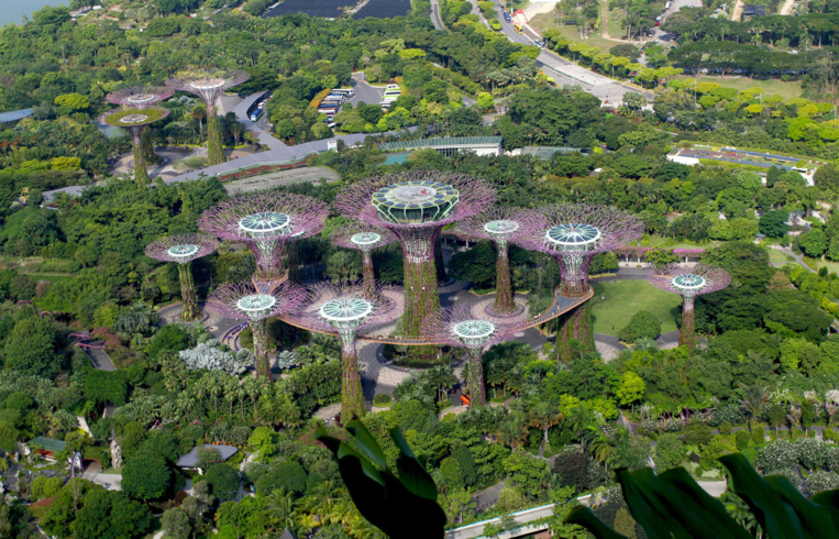 La forêt d’arbres géants des Gardens by the Bay vue depuis le Skydeck du Marina. A 200 mètres du sol, Singapour offre des paysages à couper le souffle. La forêt d’arbres géants des Gardens by the Bay vue depuis le Skydeck du Marina. A 200 mètres du sol, Singapour offre des paysages à couper le souffle.