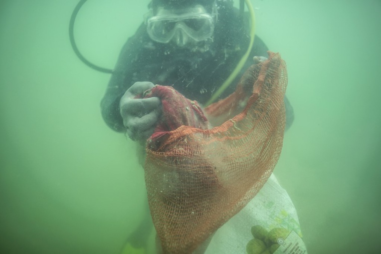 Avec les plongeurs de l'Océanium, à la traque du plastique au fond de l'Atlantique Avec les plongeurs de l'Océanium, à la traque du plastique au fond de l'Atlantique