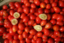 Vaitupa : le temps des “cerises”… Vaitupa : le temps des “cerises”…