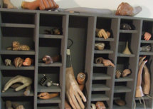 Biologie de synthèse : peut-on créer du "vivant artificiel?"