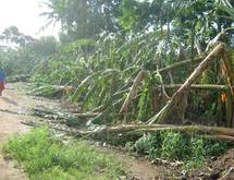 Le cyclone Jasmine a frappé les îles du Sud de Vanuatu