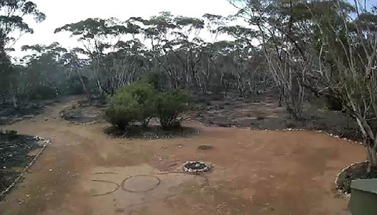 Une Australienne perdue dans le bush sauvée par un "SOS" écrit dans la terre