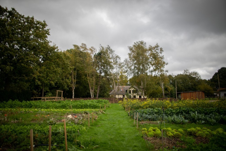 Climat, espèces, pollutions: l'environnement en France dans tous ses états Climat, espèces, pollutions: l'environnement en France dans tous ses états