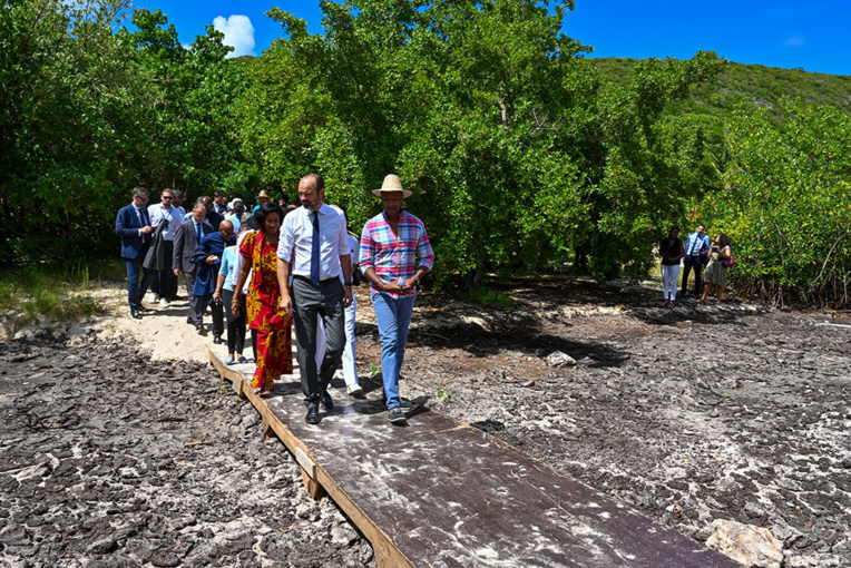 Sargasses: en Guadeloupe, Philippe met l'accent sur la lutte internationale