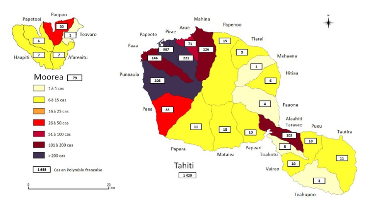 346 nouveaux cas de dengue 2 en deux semaines 346 nouveaux cas de dengue 2 en deux semaines