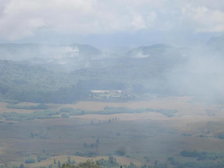 Incendie à Nuku Hiva: 600 hectares de forêt dévastée, une espèce endémique menacée