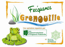 "Fréquence grenouille": pour aider les amphibiens et sensibiliser le public
