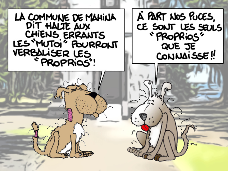 "Puces de chiens", par Munoz "Puces de chiens", par Munoz