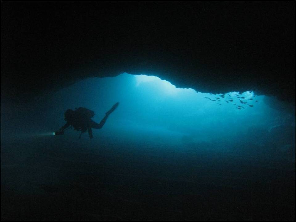 « Pakaihi I Te Moana » : de la recherche au partage des découvertes