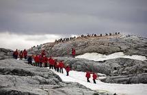 Touristes et chercheurs risquent de bouleverser les écosystèmes antarctiques