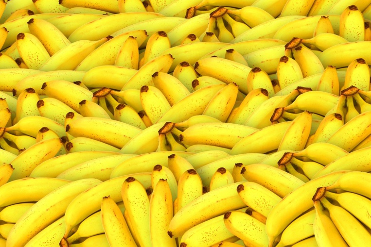 Italie : 1,2 tonne de cocaïne sud-américaine saisie dans un conteneur de bananes Italie : 1,2 tonne de cocaïne sud-américaine saisie dans un conteneur de bananes