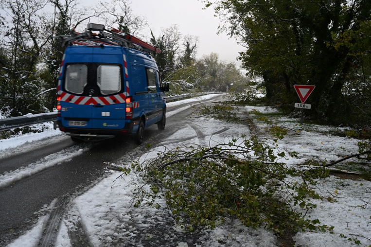 Encore 29.000 foyers privés d'électricité après la neige en Rhône-Alpes