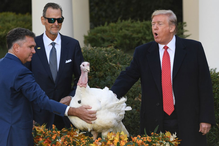 Trump gracie deux dindes pour Thanksgiving en ironisant sur la destitution Trump gracie deux dindes pour Thanksgiving en ironisant sur la destitution