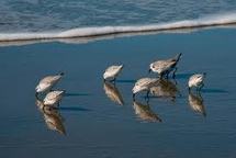 Sécurité hydrique et sécurité alimentaire : même combat, l’Océanie fête la Journée mondiale de l’eau