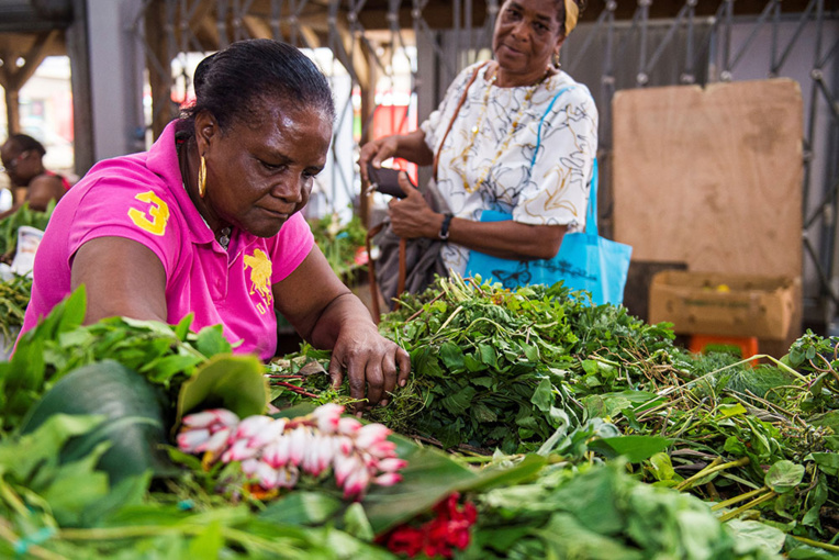 En Martinique, les plantes médicinales se modernisent pour soigner les maux En Martinique, les plantes médicinales se modernisent pour soigner les maux