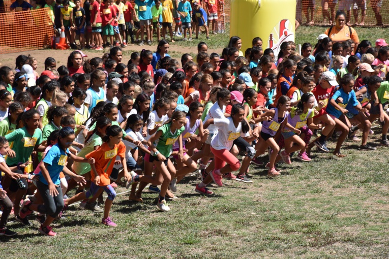 L'élite du cross scolaire polynésien avait rendez-vous mardi à l'hippodrome de Pirae.